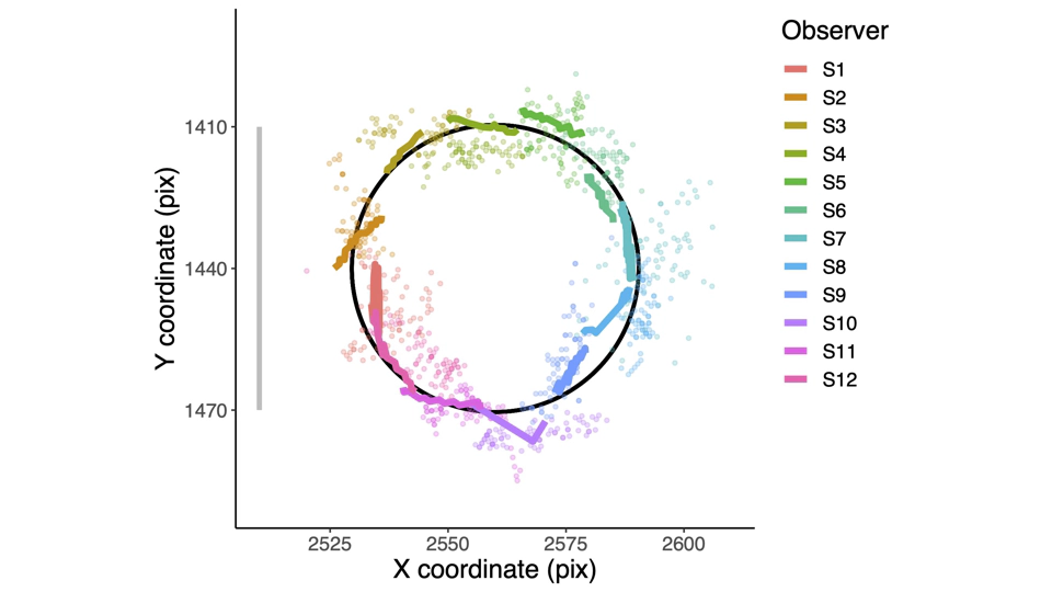 EasyEyes — A new method for accurate fixation in online vision testing